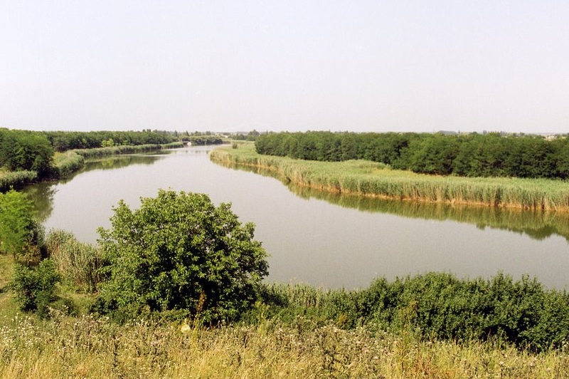Динской, Красноармейский и Калининский районы Краснодарского края.