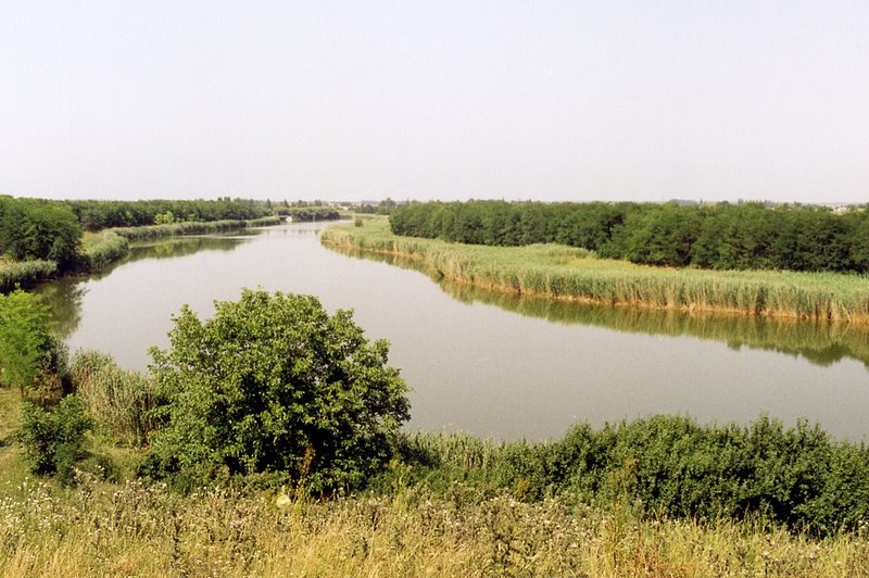 Динской​, Красноармейский и Калининский районы Краснодарского края.